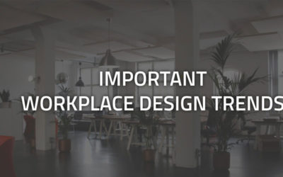 In Focus – Important Workplace Design Trends